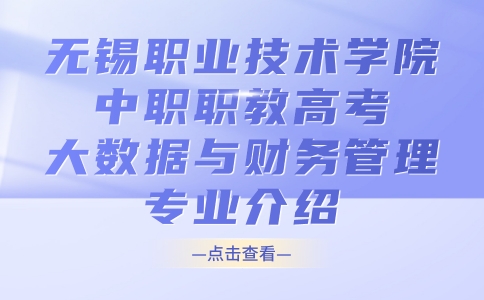 无锡职业技术学院中职职教高考大数据与财务管理专业介绍